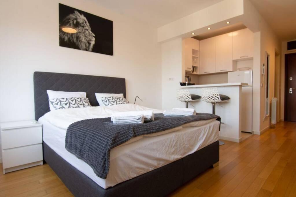 A Blok New Modern - Free Garage Parking, Comfortable, Quiet With A Park View Beograd Bagian luar foto